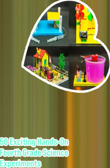 4th standard science project