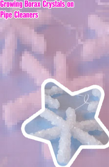 Borax crystal experiment