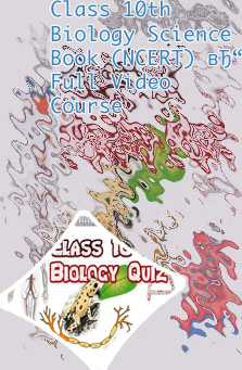 Class 10 biology