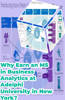 Ms in business analytics stem course