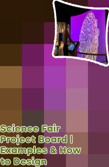 Science exhibition chart ideas