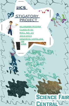 Science investigatory projects ideas