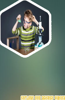 Science week experiments