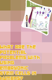 Stem definition biology