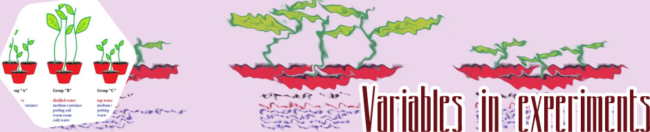 Variables in a science experiment